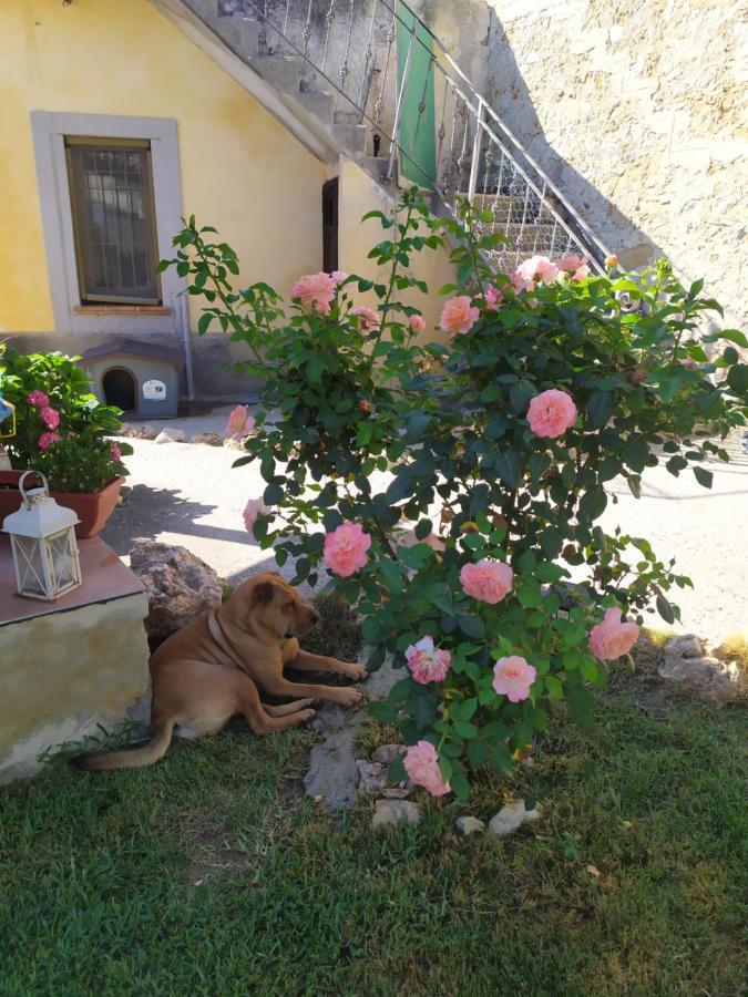 Il Giardino Dei Semplici B&B Caulonia Εξωτερικό φωτογραφία